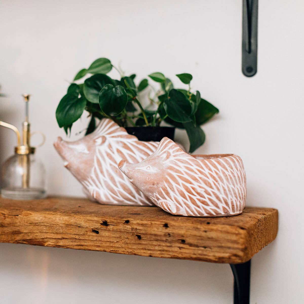 * Hedgehog Planter (Large)