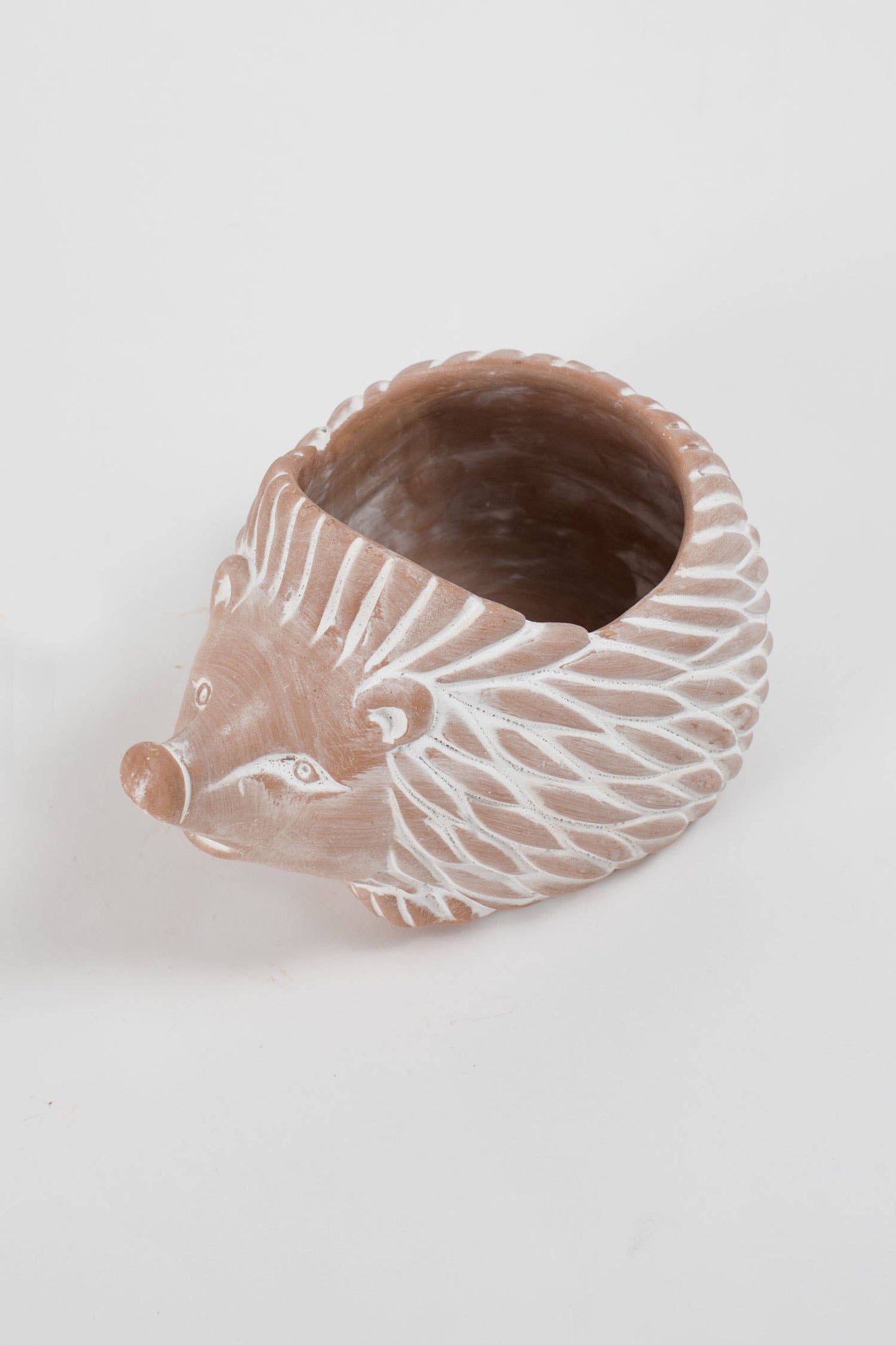 * Hedgehog Planter (Large)
