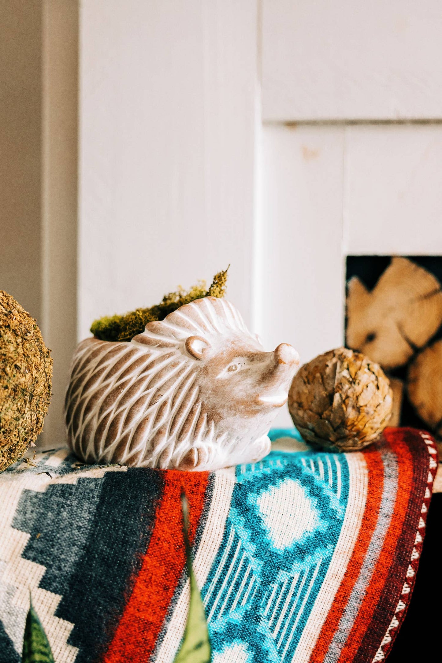 * Hedgehog Planter (Large)